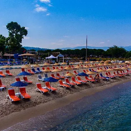 Odelia Kusadası